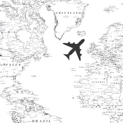 Travel Skins